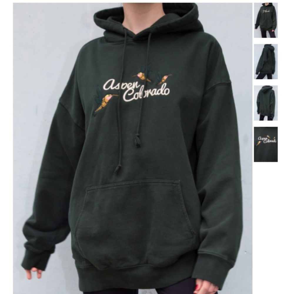 BRANDY MELVILLE CHRISTY ASPEN COLORADO HOODIE